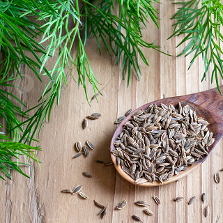 Семена пряностей