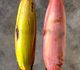 Musa nagensium var. hongii - Банан
