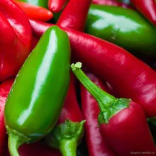 Перец острый EARLY JALAPENO (Capsicum annuum), семена 5 шт.